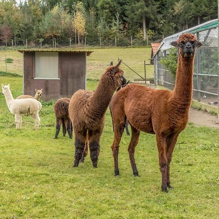 Zapfs Bauernhof Stiefmuetterchen Tettnang Exterior foto