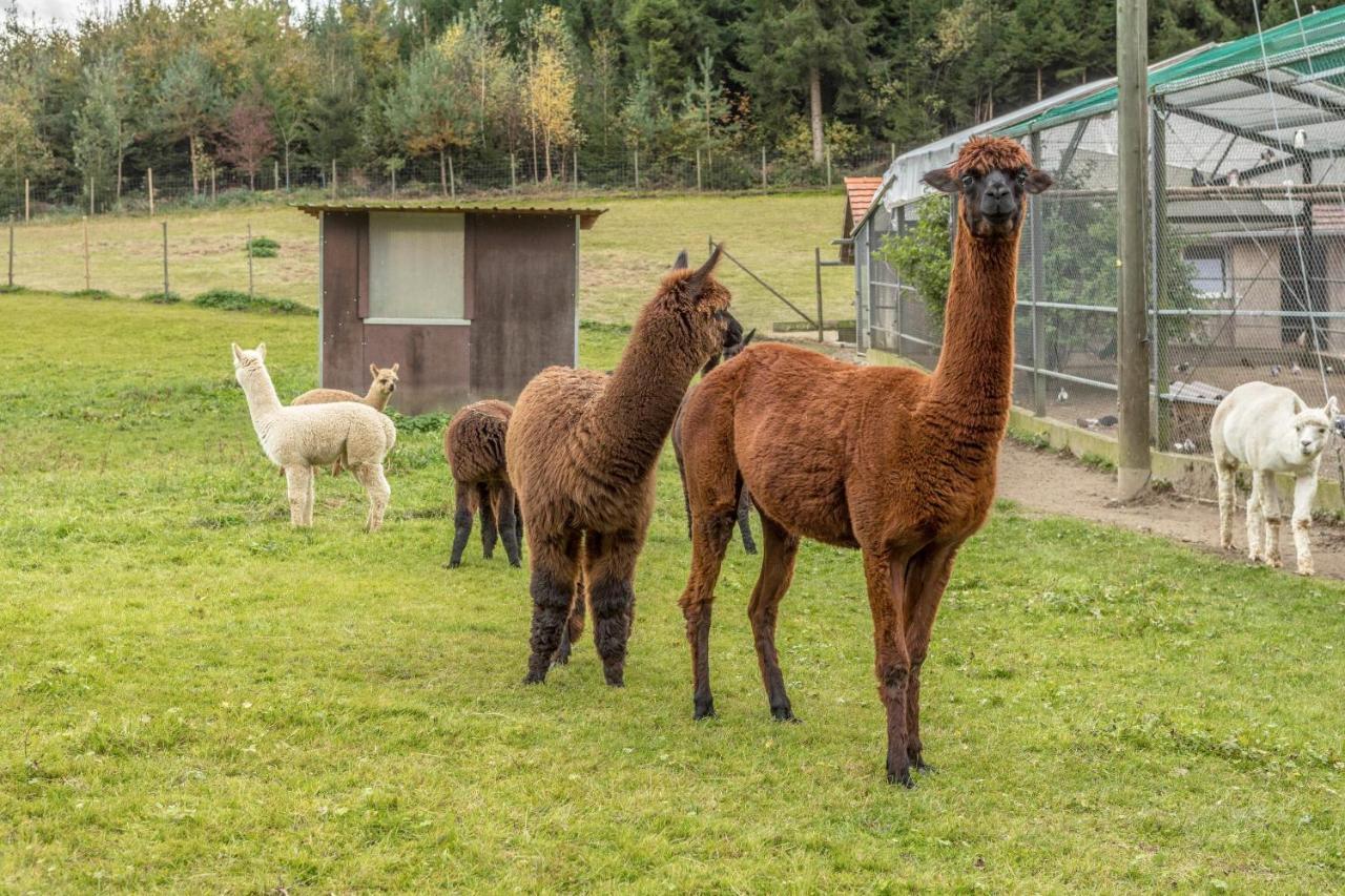 Zapfs Bauernhof Stiefmuetterchen Tettnang Exterior foto